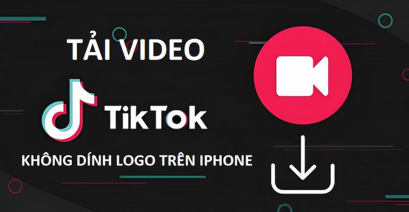 Cách tải video TikTok không logo trên iOS - iPhone