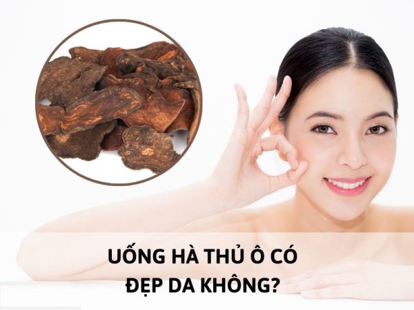 Uống hà thủ ô có đẹp da không? Cách sử dụng đúng chuẩn