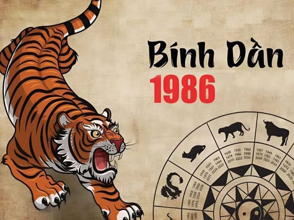 Vận trình tổng quan tuổi Bính Dần ngày 24/12